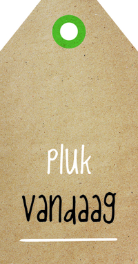 Zingever - Pluk vandaag