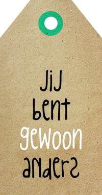 Zingever - Jij bent gewoon anders