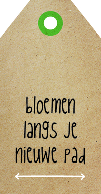 Zingever - Bloemen langs je nieuwe pad